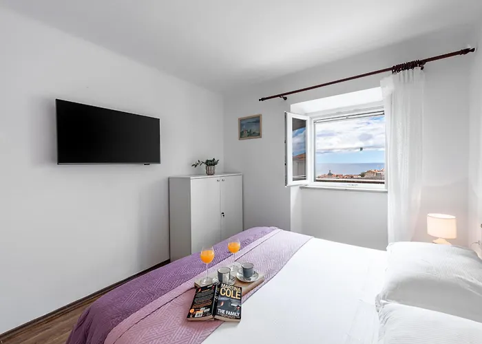 Apartment Viki